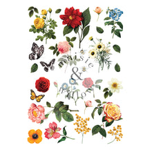 Load image into Gallery viewer, Maisie & Willow - MAJESTICGARDEN - Decor Transfer