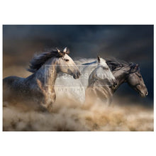 Load image into Gallery viewer, WILD HEARTS RUN FREE - Decoupage Fiber