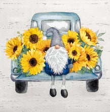 Load image into Gallery viewer, Napkin Sets