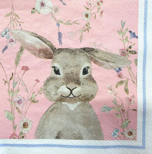 Load image into Gallery viewer, Napkin Sets