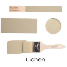 Load image into Gallery viewer, fusion paint lichen swatches