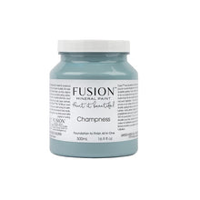 Load image into Gallery viewer, fusion paint champness pint