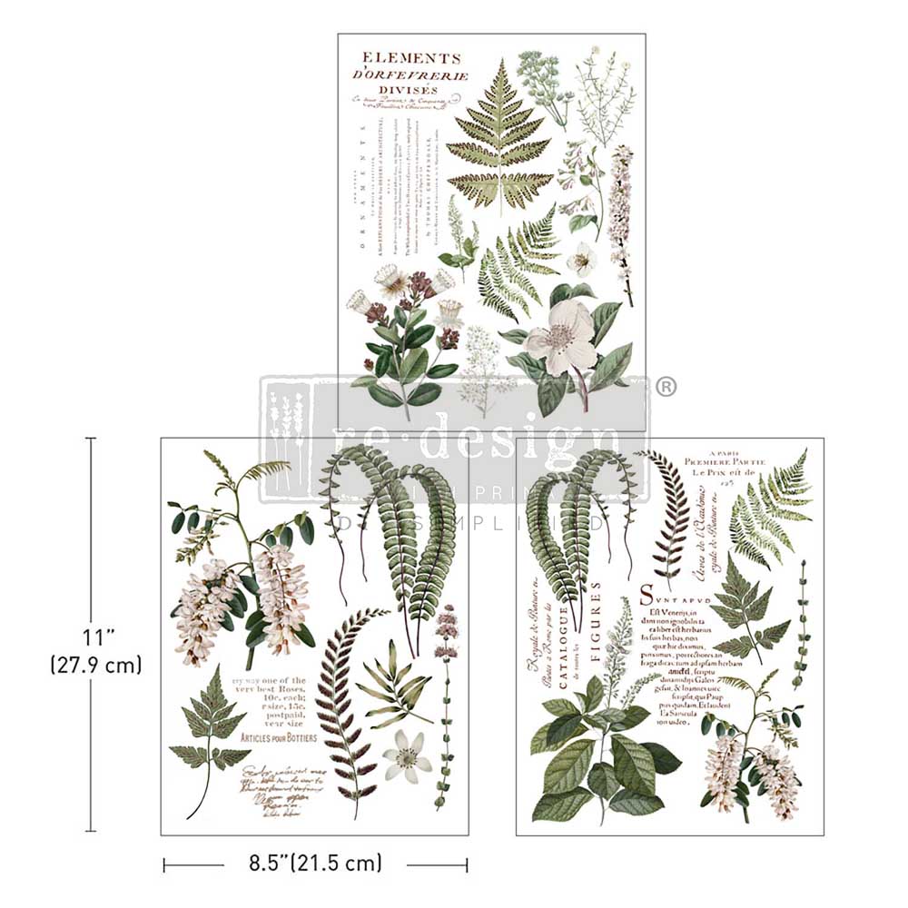 GREENERY GRACE - MIDDY - Decor Transfers